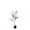 Faux Eucalyptus Tree in Planter