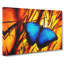 Butterfly Vol.7 - Wrapped Canvas-61848153