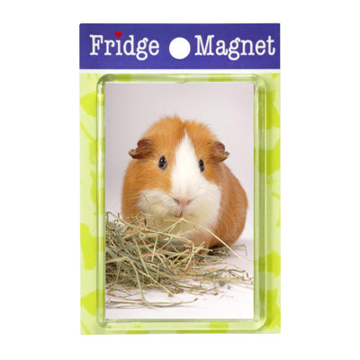 Fridge Magnet