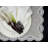 Rectangle Placemat-71792513