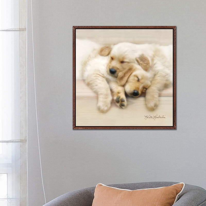 Nap Friends by Keith Kimberlin - Print on Canvas, Classic Brown Wood Framed, 66.04 cm H x 66.04 cm W