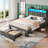 Bed Frame with RGB LED Lights, Upholstered Bed with Drawers and Charging Station-441618926-441536891