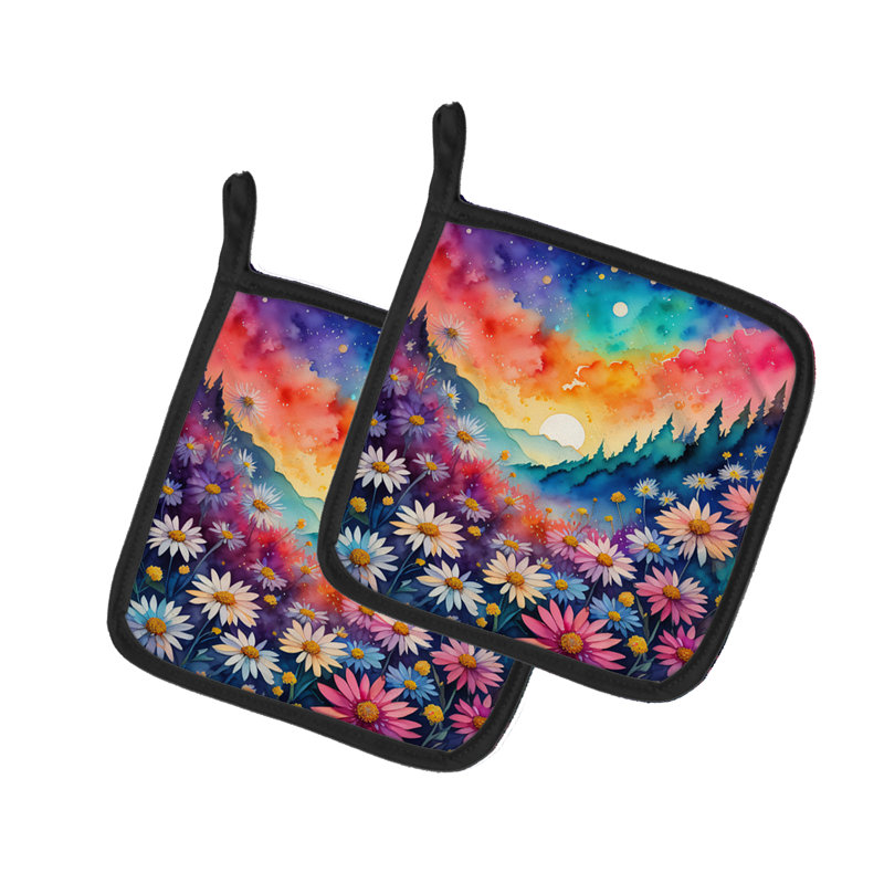 Colourful Asters Pair of Pot Holders
