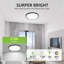 Flush Mount