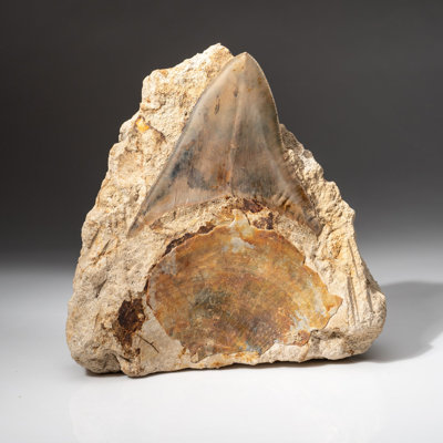 Stone Decorative Object