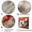 Pixiebob Playmat Cats I - Chat, art mural, salon-95892860-95892859