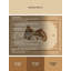 Tapis oriental traditionnel beige lavable à la machine Bergland - reliure beige-2011137201