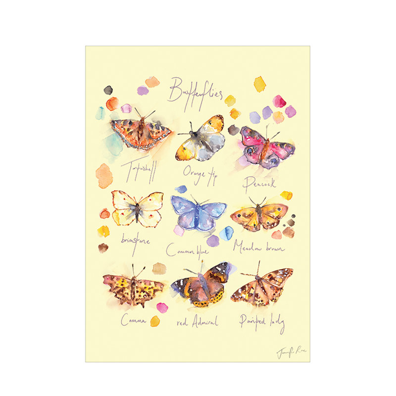 Butterflies by Jennifer Rose - No Frame Painting
