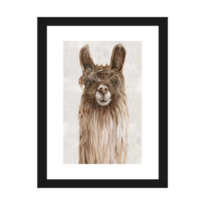 «Suri Alpaca I» par Eva Watts - reproduction d'art