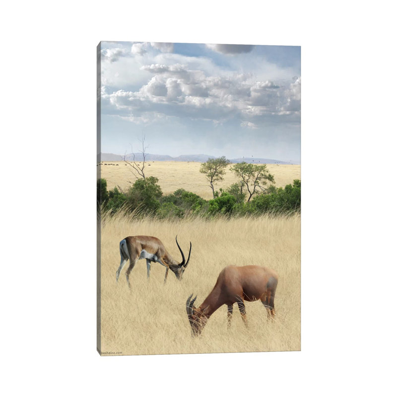 Kenya #2 by Ben Heine - Print on Canvas, 30.48 cm H x 45.72 cm W, Wrapped Canvas