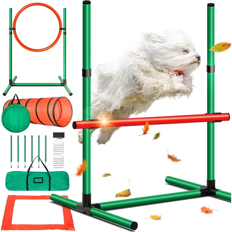 Orange and Green Dog Agility Training Set with Tunnel and Hurdles