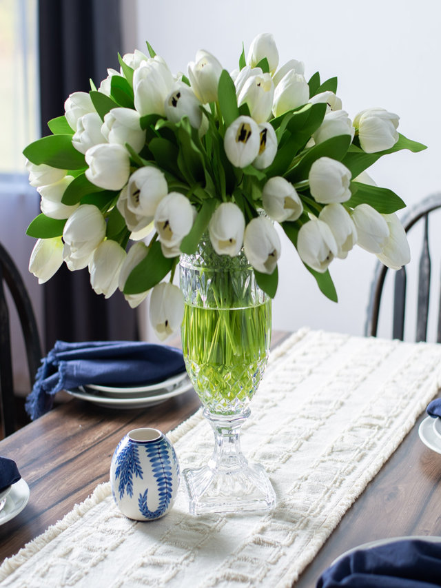 tulip