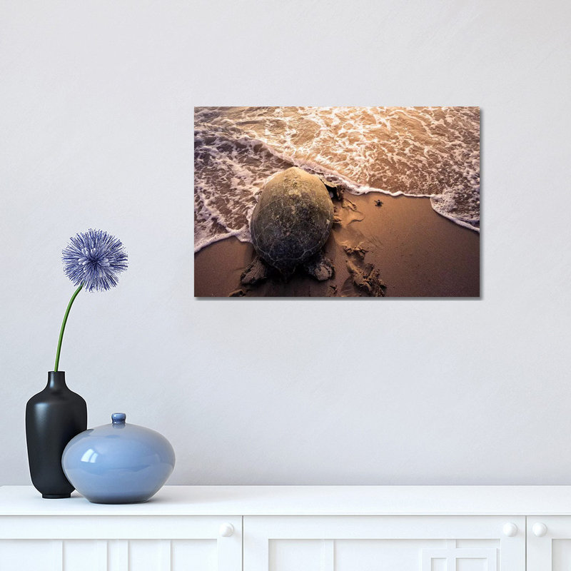 Turtle Migration by Haitham Al Farsi - Wrapped Canvas Print, 30.48cm H x 45.72cm W x 1.91cm D
