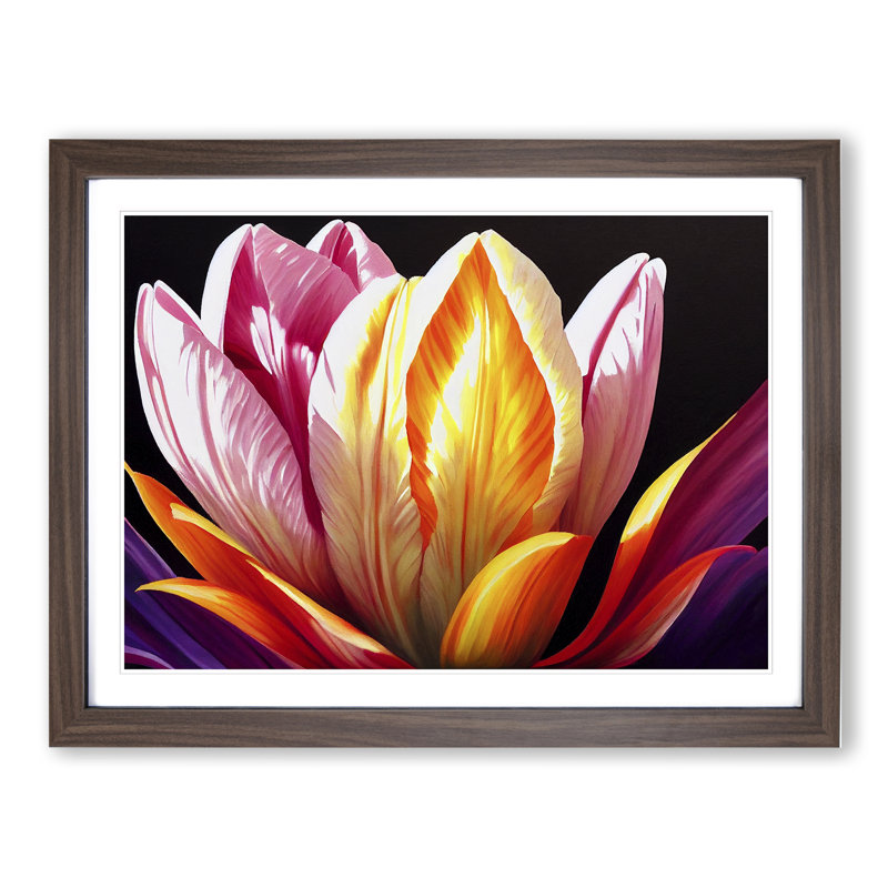 Euphoric Tulip Flowers - Framed Print, 34cm H x 46cm W x 2cm D, Walnut
