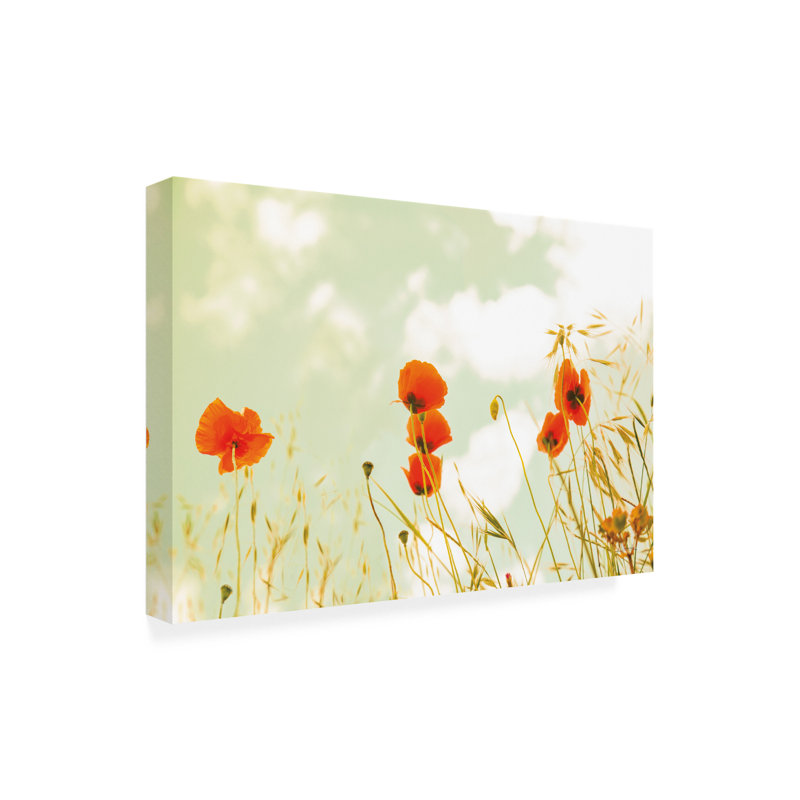 Art sur toile Coquelicots et ciel Aledanda, H 22 po x l 32 po