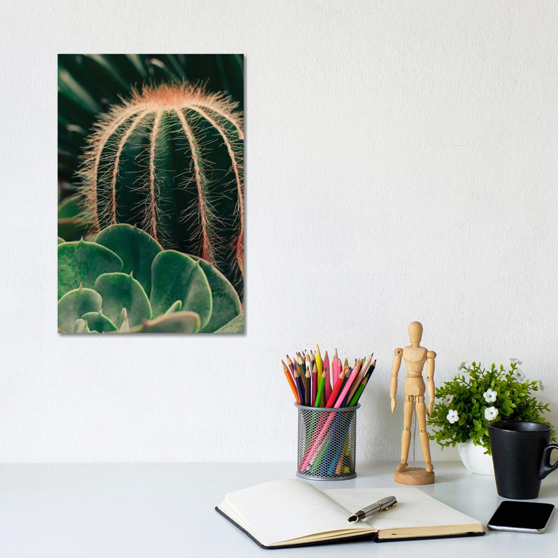 Cactus And Succulent - Wrapped Canvas Gallery-Wrapped Canvas Giclée, 20.32 cm H x 30.48 cm W