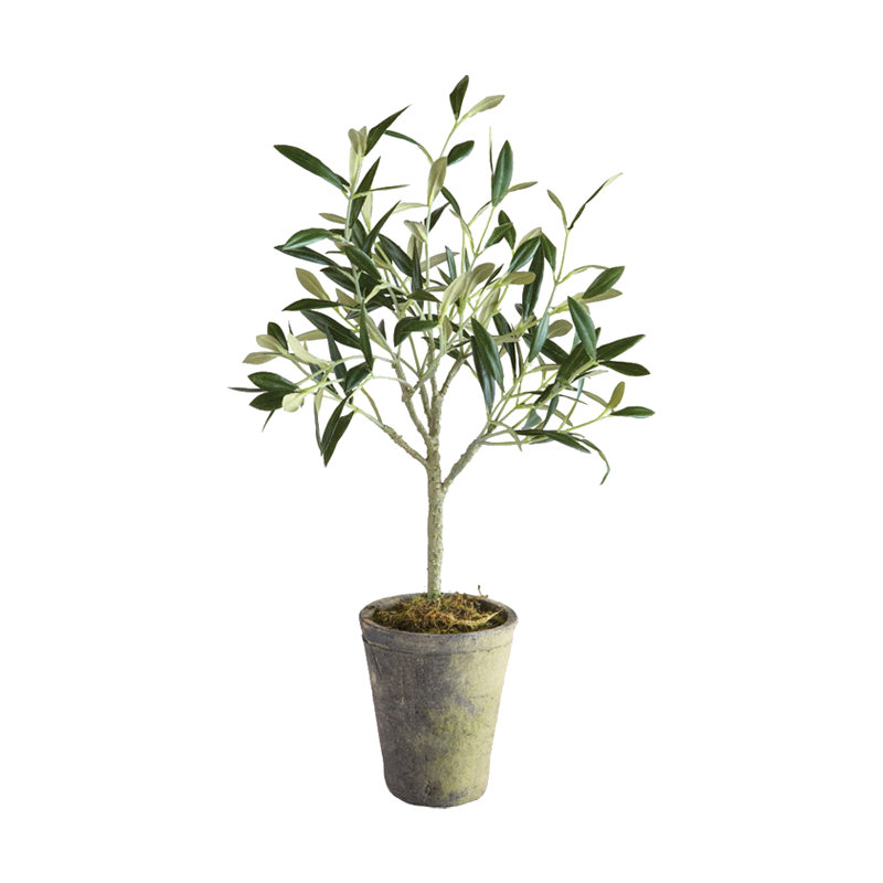 Faux Olive Tree Tree in Ceramic Pot, 15" H x 4" W x 4" D