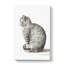 A Sitting Cat by Jean Bernard - Wrapped Canvas-55368314