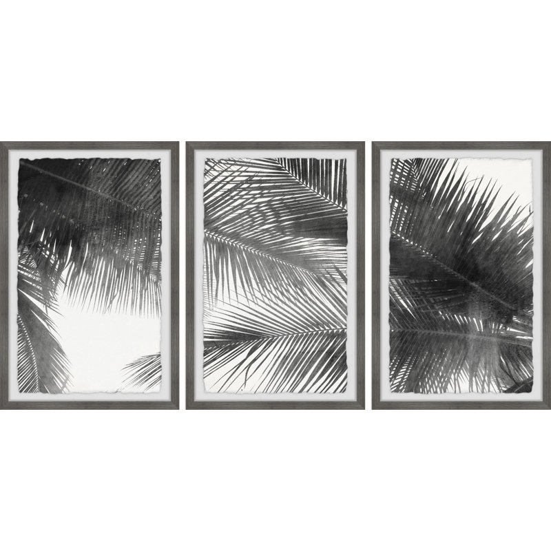 «Palm Leaf Canopy» par Marmont Hill - Ensemble de 3 reproductions de cadres photo simples, H 12 po x l 8 po