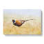 A Pheasant Bird - Wrapped Canvas Painting-56658668