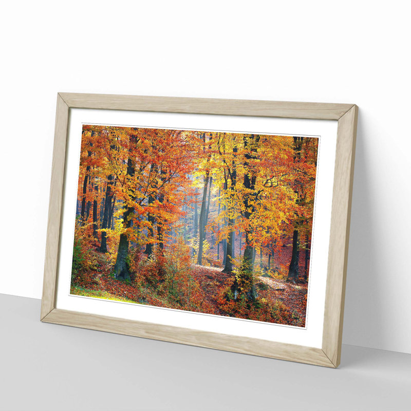 Landscape Forest In The Autumn - Single Picture Frame Print, Oak