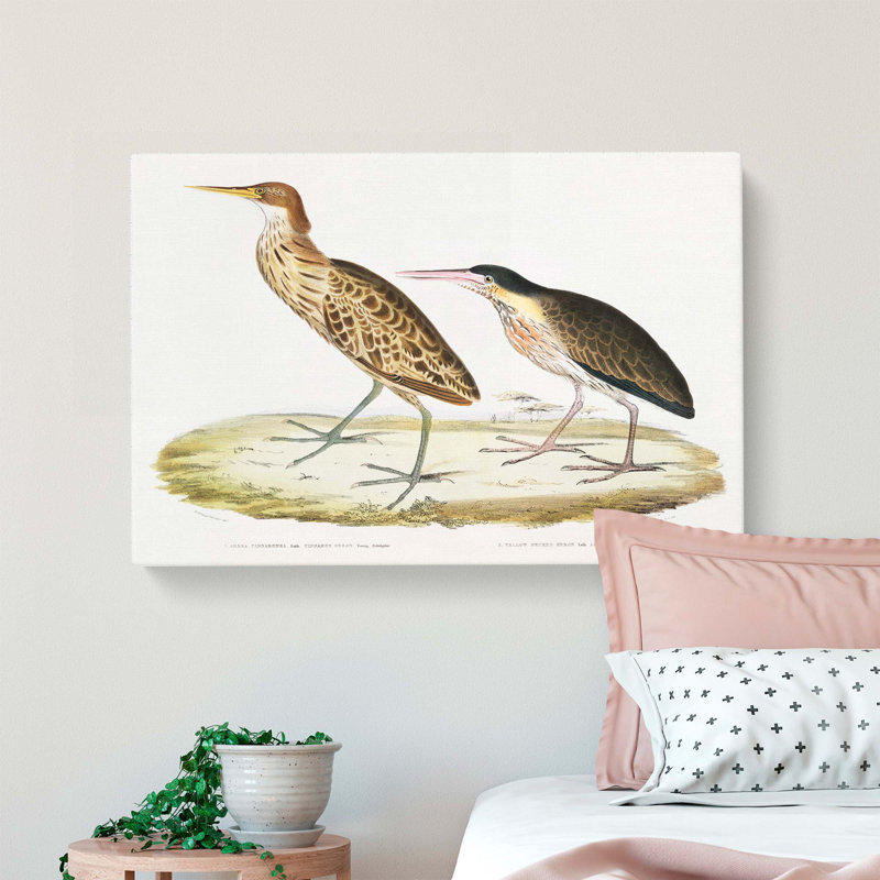 Two Herons by John Edward Gray - Wrapped Canvas, 40cm H x 60cm W x 3cm D