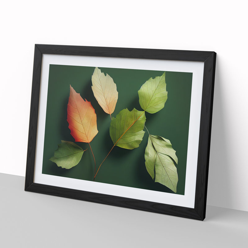 The Garden Leaves - Single Picture Frame Print, Black, 46cm H x 64cm W