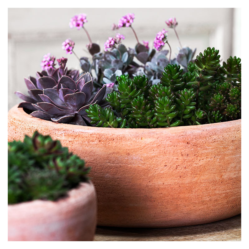 Alidis Handmade Pot Planter