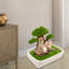 Lit pour animal en velours Daymein