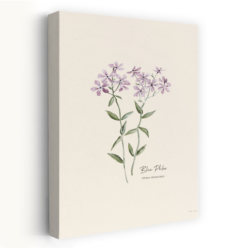  Phlox, art floral contemporain, H 24 po x l 16 po