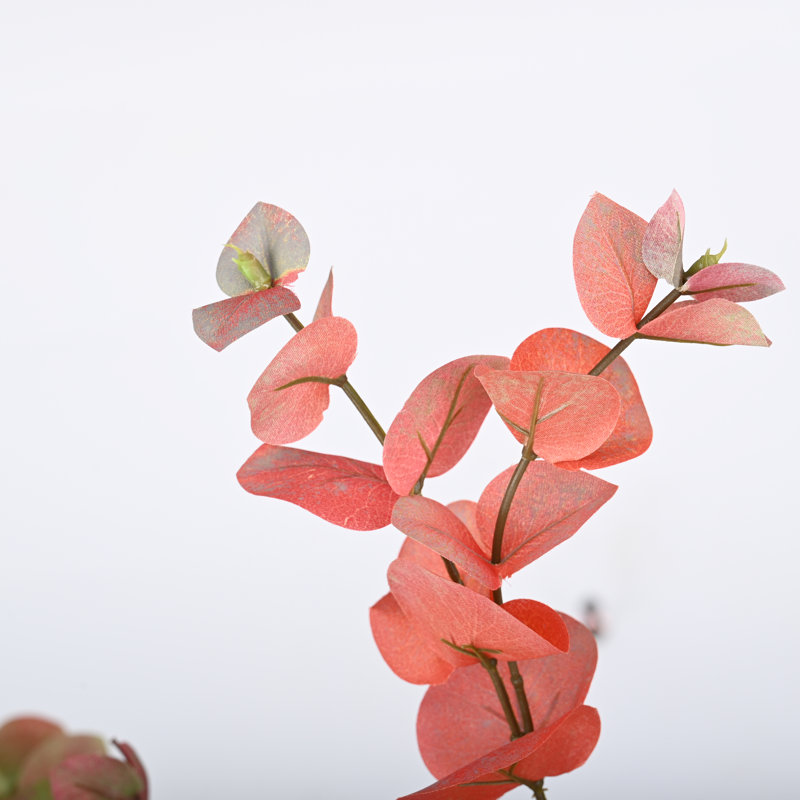 Buissons d'eucalyptus Hamlin, Dégradé / vert / rose
