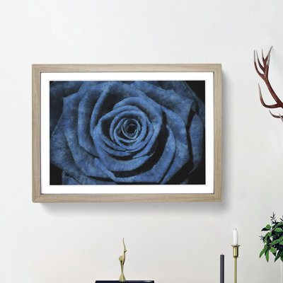 Pretty Blue Rose - Framed Print