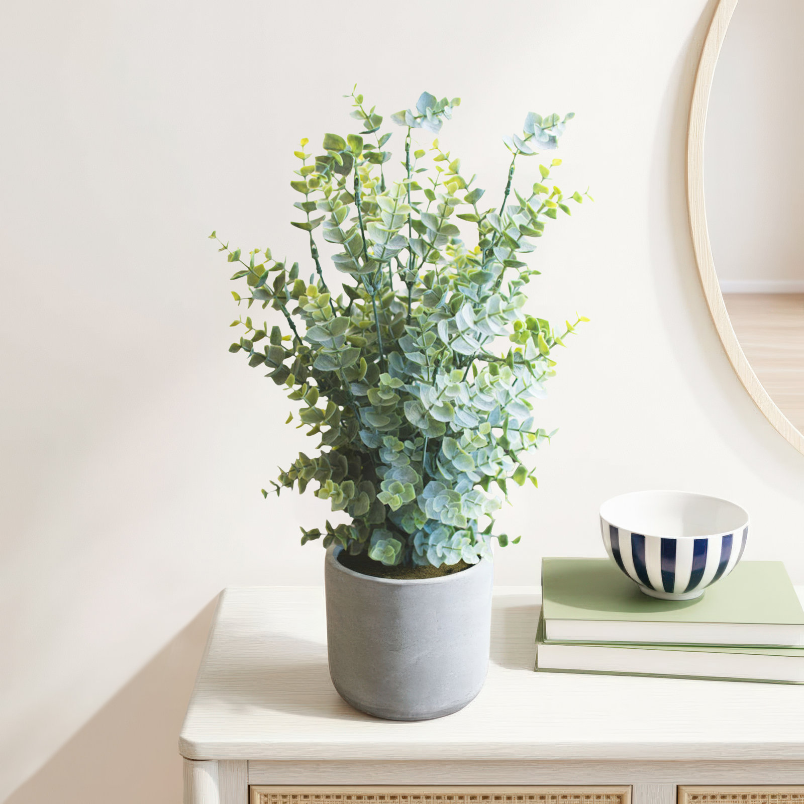 18'' Eucalyptus Plant in Cement Pot