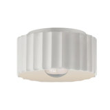Radiance 1 - Light Flush Mount
