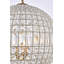 Rola Crystal 5-Light Chandelier-913303121-870551869