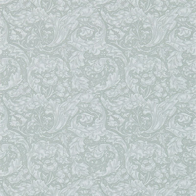 Bachelors Button Wallpaper