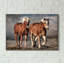 «Trotting», art mural sur toile-25769434