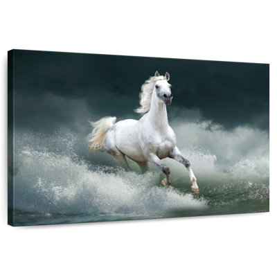 Brampt cheval qui court sauvage sur l'eau