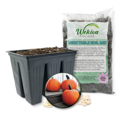 Gold Medal Pumpkin Seed Starter Kit - Pumpkin Seeds with Tray Line and Half Quart Vegetable Soil Mix - Grow Your Own Vegetables