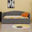 Daybed With Extended Pop Up Trundle, Upholstered Sofa Bed Daybed, Space-Saving To  Design,  For Guest Room, Velvet-145291589