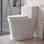 Toilette une pièce Arlo, fauteuil brut 10 po, hauteur de chaise ADA 17,3 po, chasse double 1,1 / 1,6 GPF, conception allongée et peu encombrante.