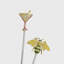 Tropical Wine Accessories