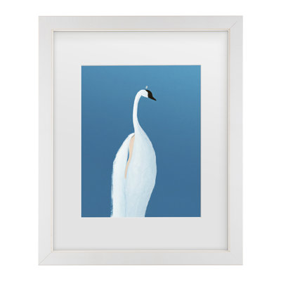 Bolog Merel Takken  Swan Maybe Matted Framed Art