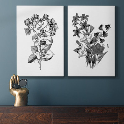 «Botanical Black and White», ensemble de 2 reproductions