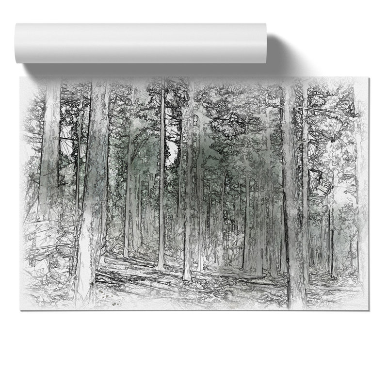 Conifer Tree Forest Sketch - Frameless Print, 42cm H x 59cm W x 0.1cm D