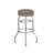 Piya Double Ring Chrome Barstool-49300370-100042154