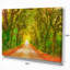 «Fall Greenery and Road Straight Ahead», impression-35061955-35061960