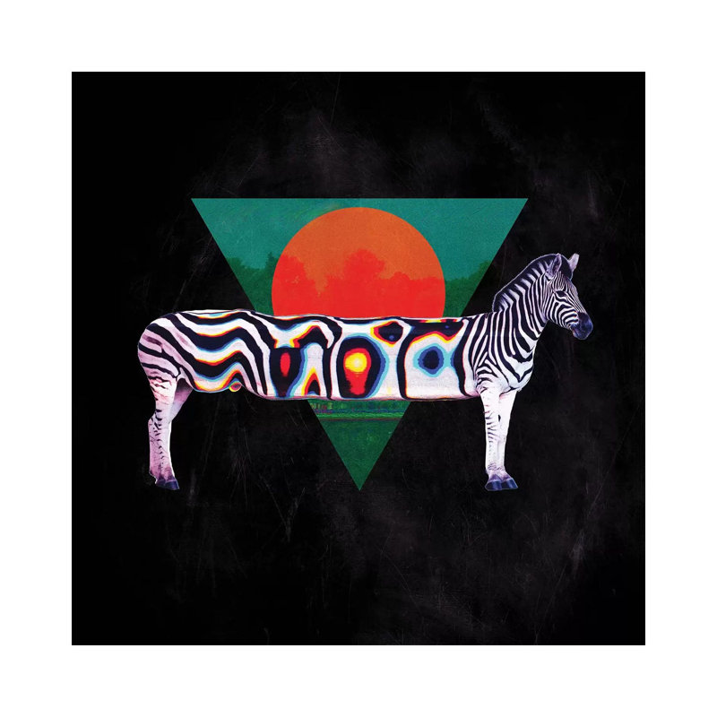 Zebra, Square by Ali Gulec - Wrapped Canvas Print, 30.48 cm H x 30.48 cm W x 1.91 cm D