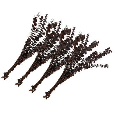 Bundle of 4 Dried Preserved Baby Eucalyptus Bouquets