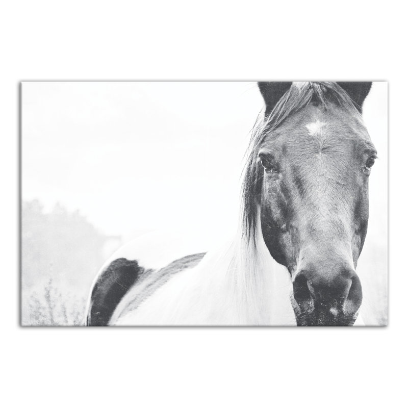 « solitaire cheval », impression sur toile, H 12 po x l 18 po, Toile tendue